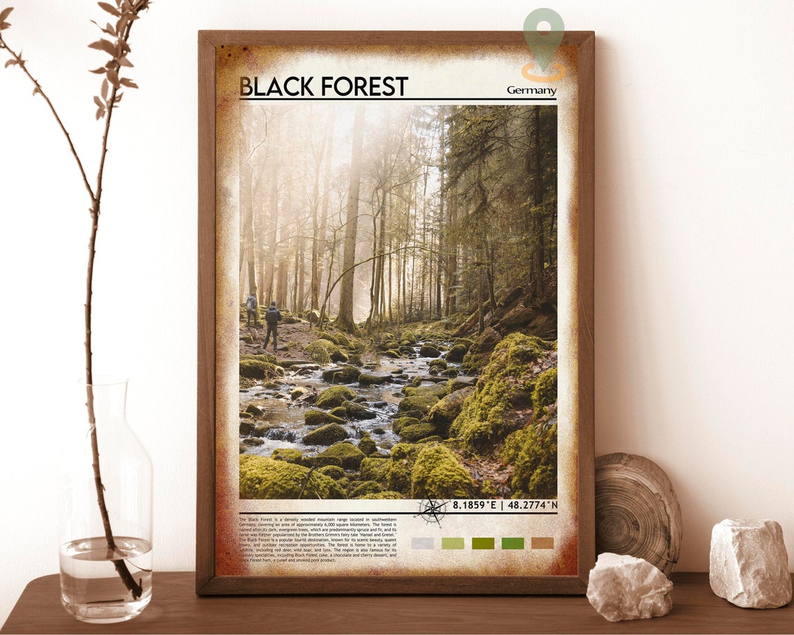 Black Forest Germany Mossy Stream Forest Hiking Trail Poster - Image 6