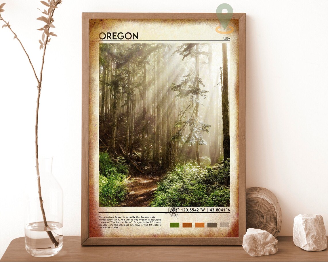Oregon USA Misty Evergreen Forest Sunbeam Nature Travel Poster - Image 6
