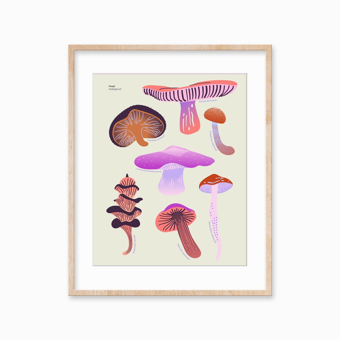 Modern Colorful Mushroom Art Print, Maximalist