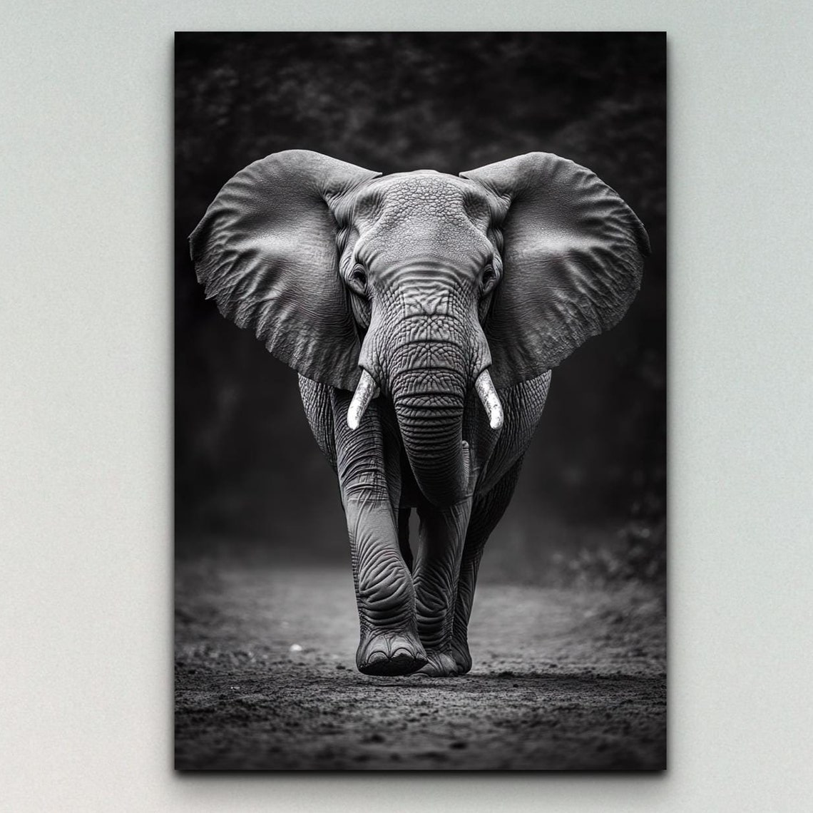 Black And White Elephant Art Print