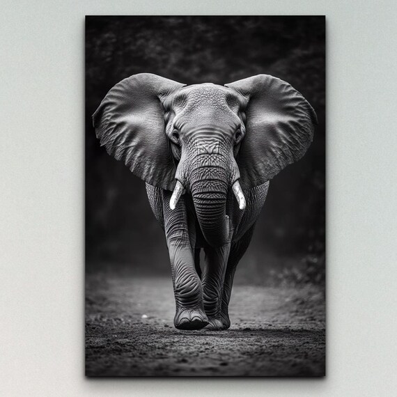 Black And White Elephant Art Print