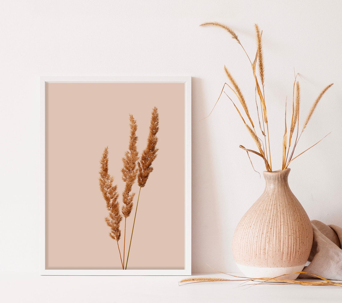Dried Pampas Grass On Terracotta Minimalist Botanical Wall Art - Image 2