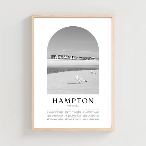Hampton Virginia Beach Seagulls Black and White Photo Poster