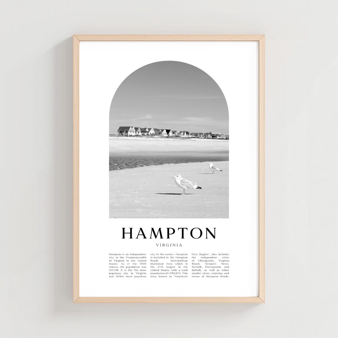 Hampton Virginia Beach Seagulls Black and White Photo Poster