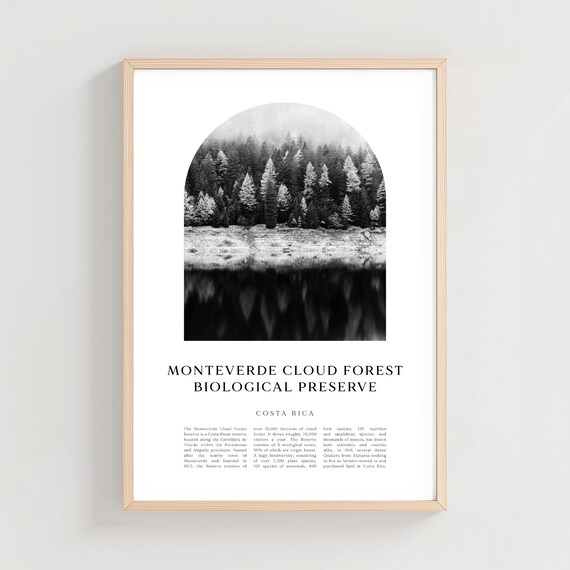 Monteverde Cloud Forest Preserve Misty Trees Rainforest Photo Poster