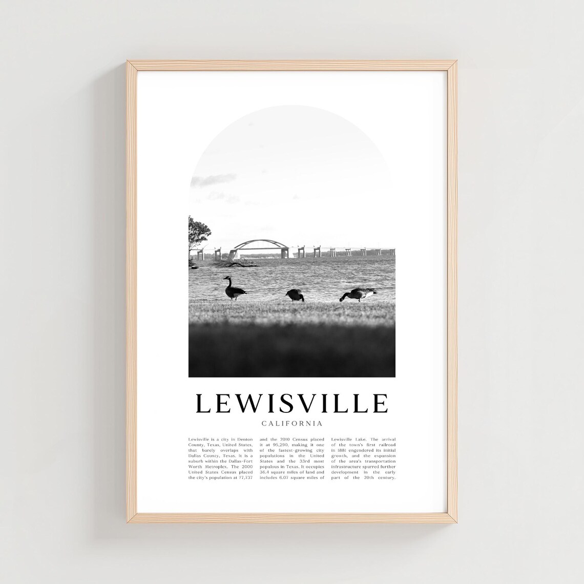 Lewisville Lake Geese Shoreline Bridge Monochrome Scene Poster