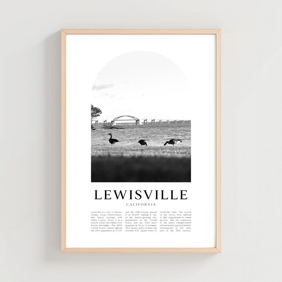 Lewisville Lake Geese Shoreline Bridge Monochrome Scene Poster