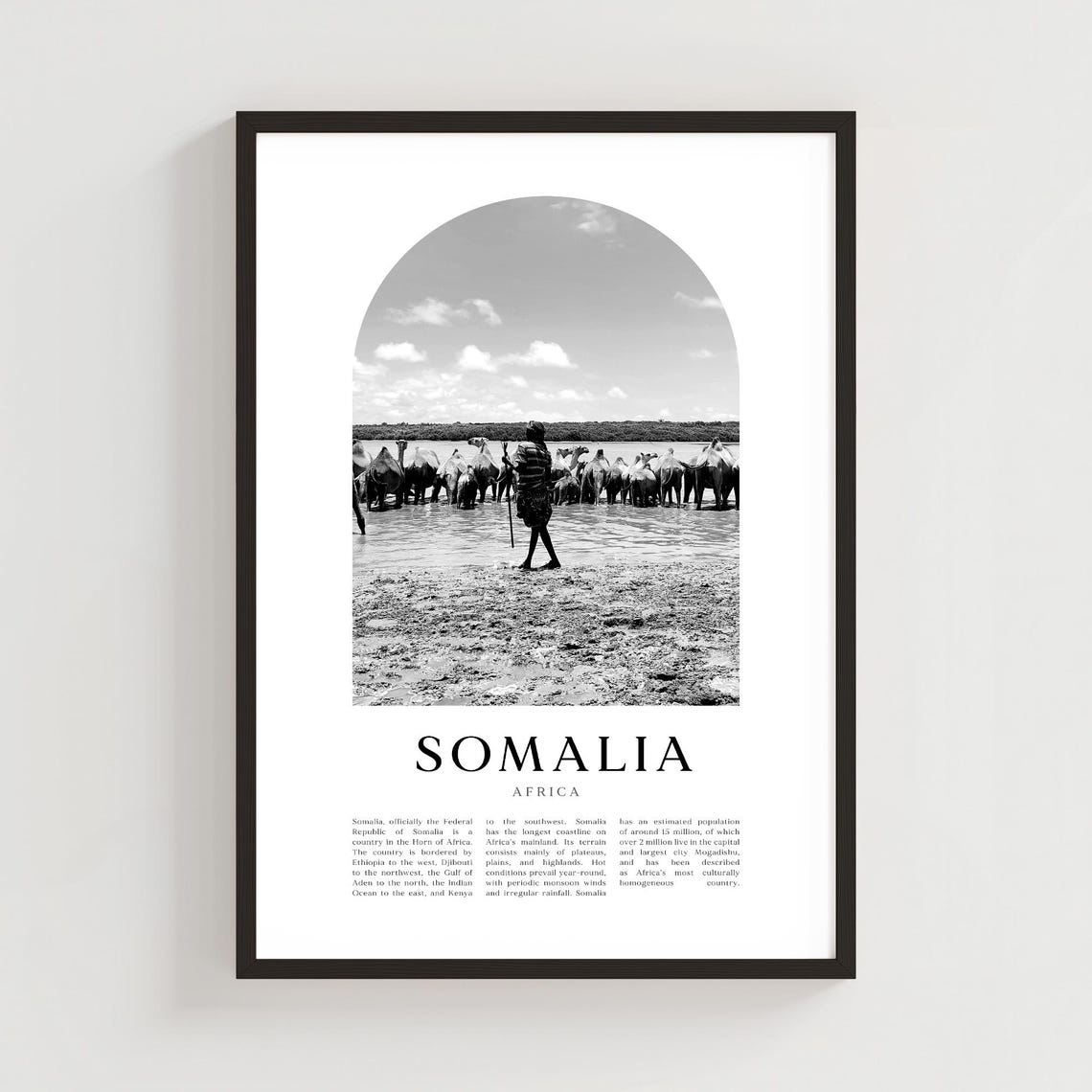 Somalia Africa Black And White Camel Herder By The River Poster