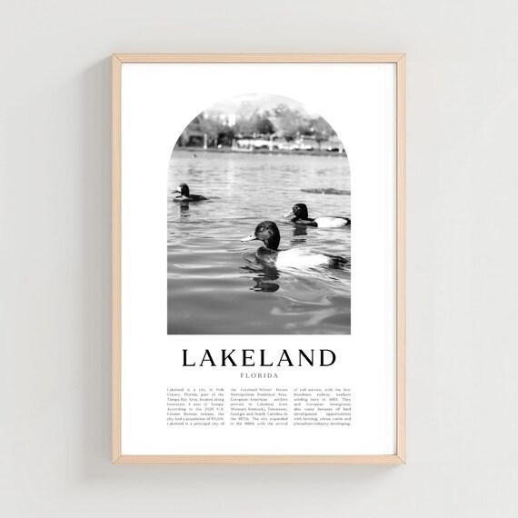 Lakeland Florida Black and White Ducks Swimming on Lake Photo Poster