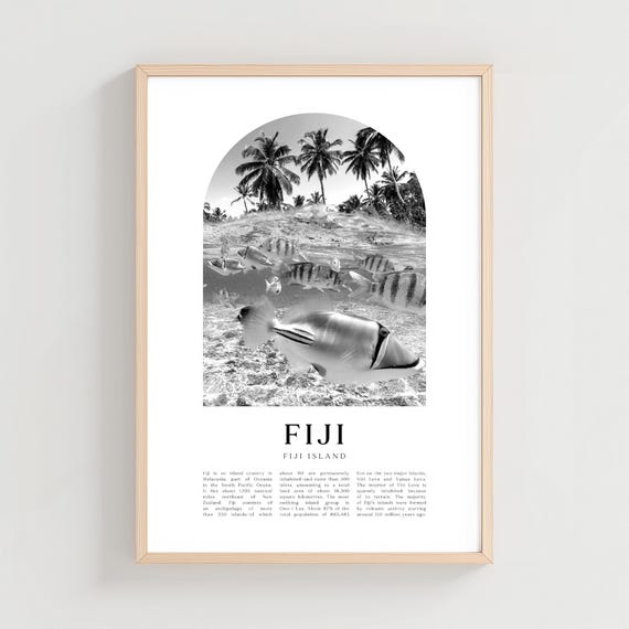 Fiji Travel Poster Print Wall Art Island City Gift Decor Cn35m