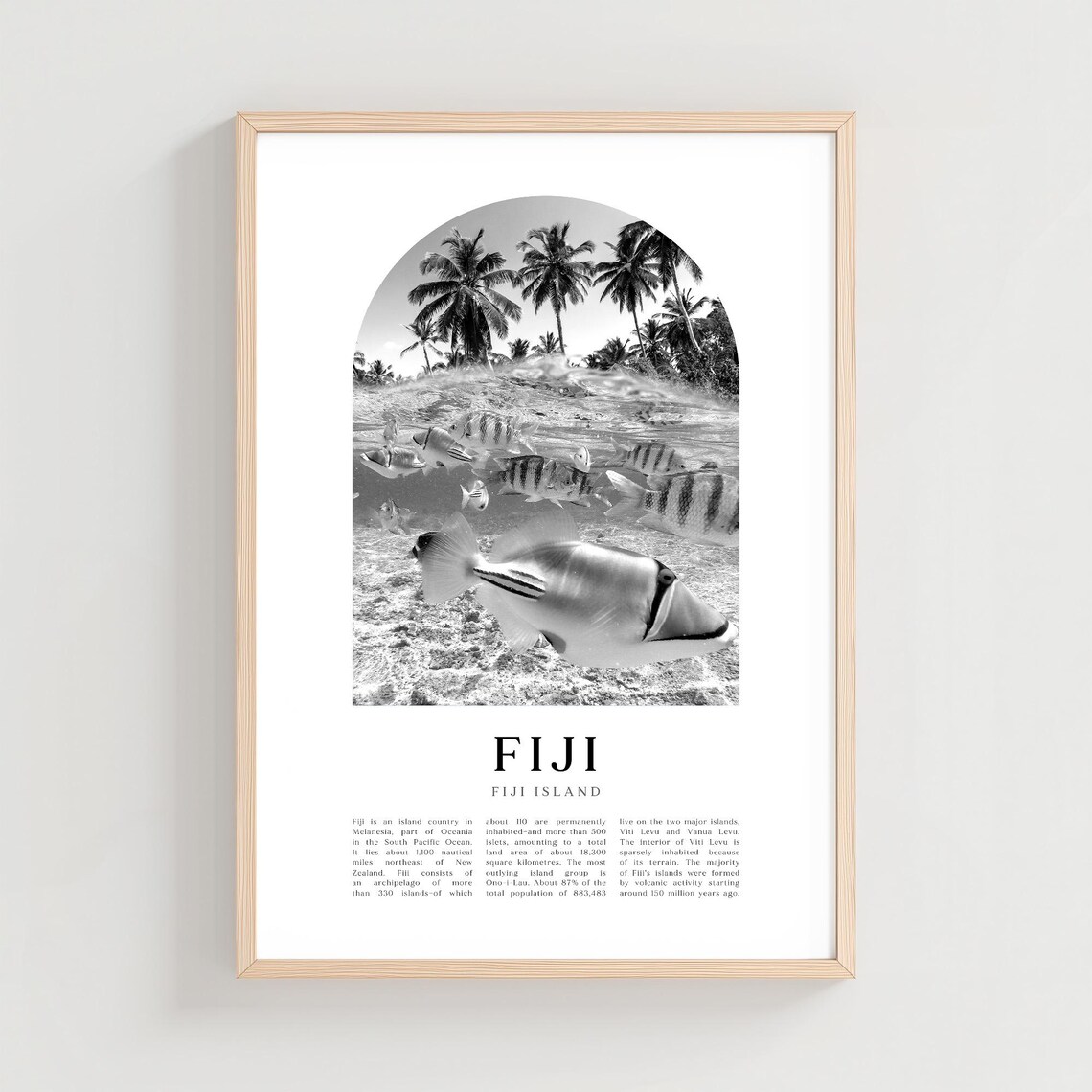 Fiji Island Underwater Fish Black And White Photo Art Poster