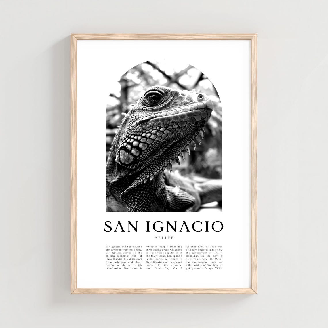 San Ignacio Belize Iguana Close-Up Portrait Monochrome Photo Print