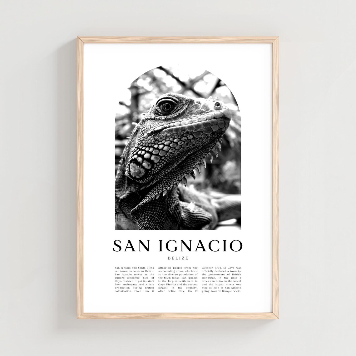 San Ignacio Travel Poster Print Wall Art Belize City Gift Decor Ce37m