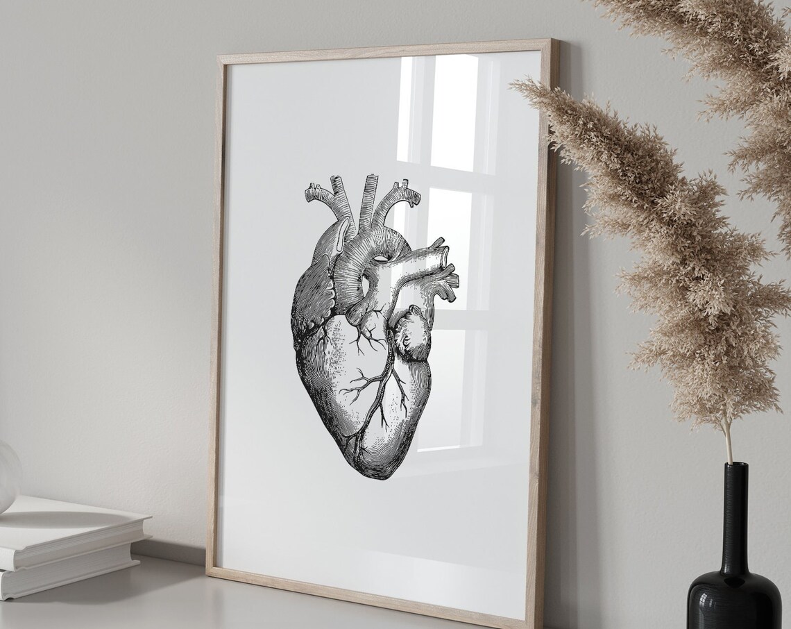 Anatomical Heart Vintage Medical Art Print