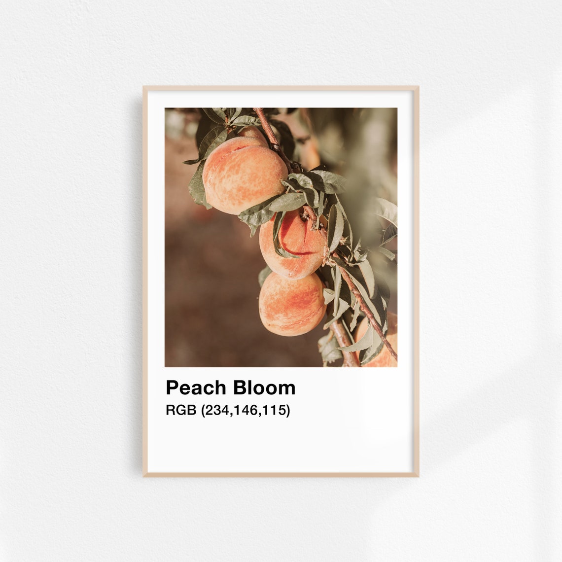 Peach Print Kitchen Wall Decor Peach Wall Art Botanical Print Peach Kitchen Art Botanical Wall Art Fruit Art