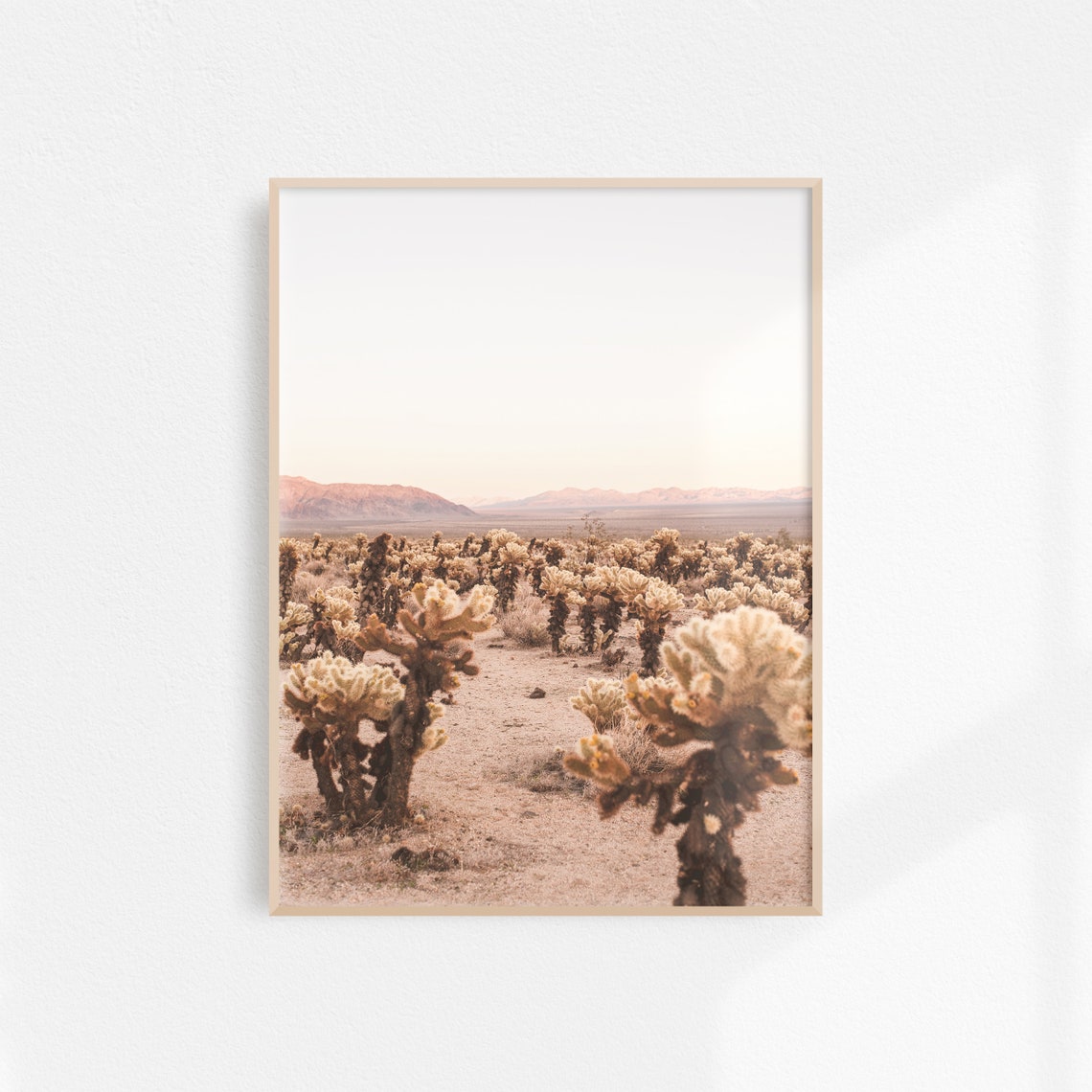Cholla Cactus Garden in Joshua Tree National Park Desert Poster