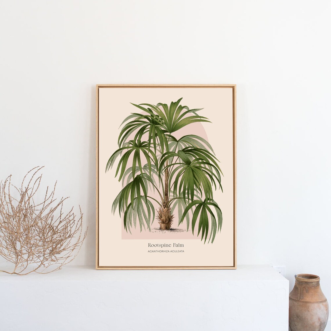 Rootspine Palm Acanthorhiza Botanical Vintage Tropical Poster - Image 2