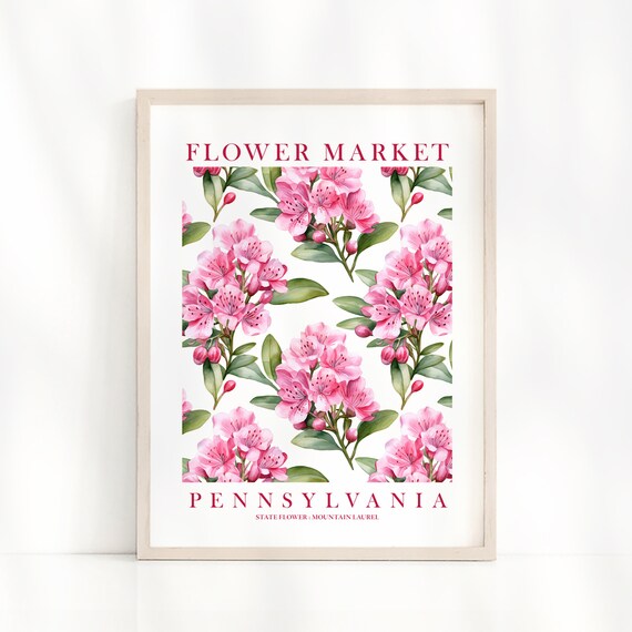 Pennsylvania Mountain Laurel State Flower Market Botanical Poster