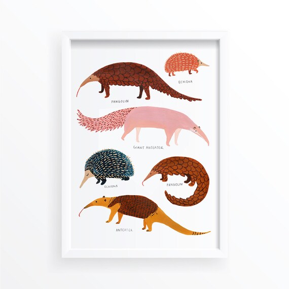 Pangolin, Anteater, and Echidna Nursery Art Print