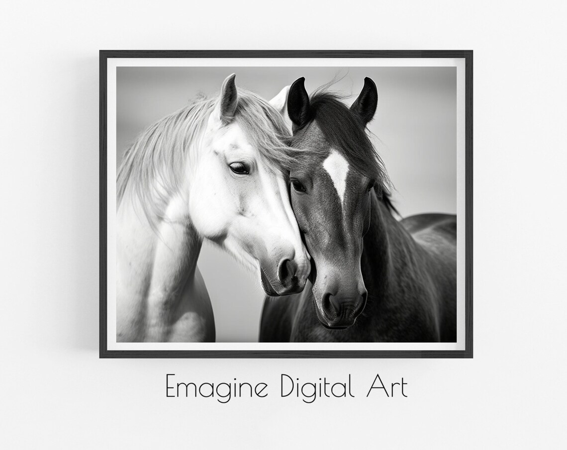 Black and White Horses Tender Sweet Embrace Equestrian Art Poster