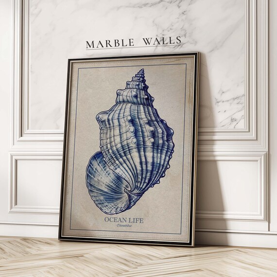 Strombus Conch Shell Engraving Ocean Life Vintage Nautical Art Poster