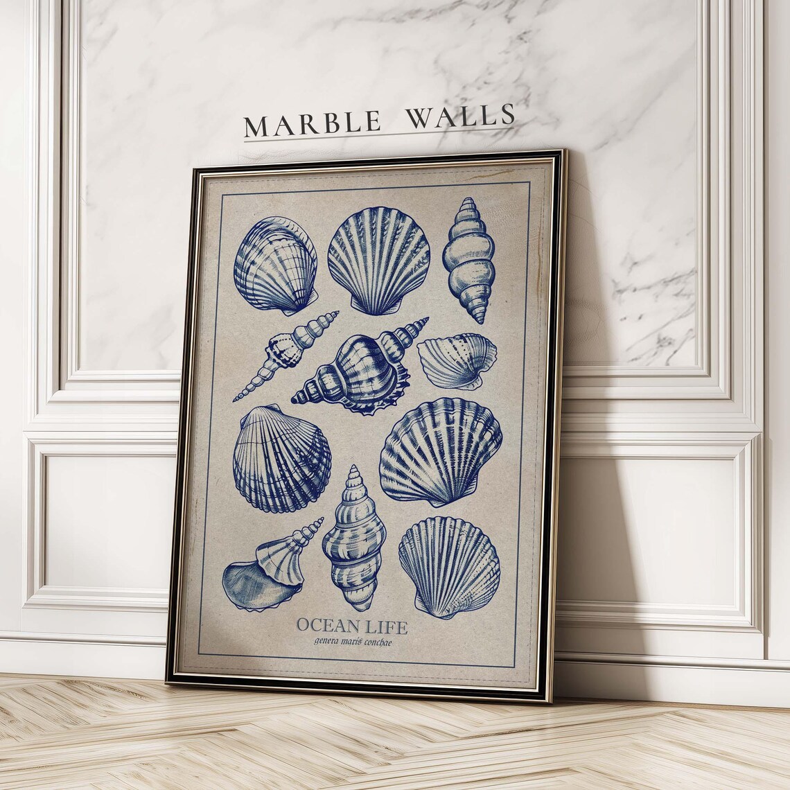 Vintage Modern Seashell Ocean Coastal Art Print