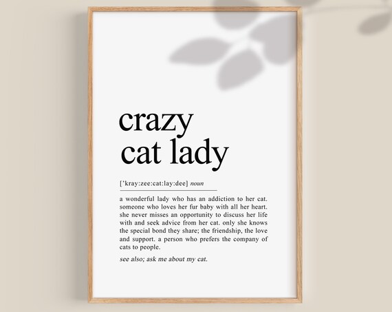 Crazy Cat Lady Funny Definition Typography Cat Mom Gift Poster