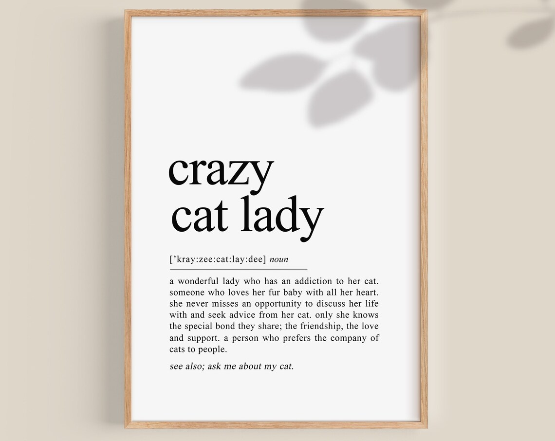 Crazy Cat Lady Funny Definition Typography Cat Mom Gift Poster