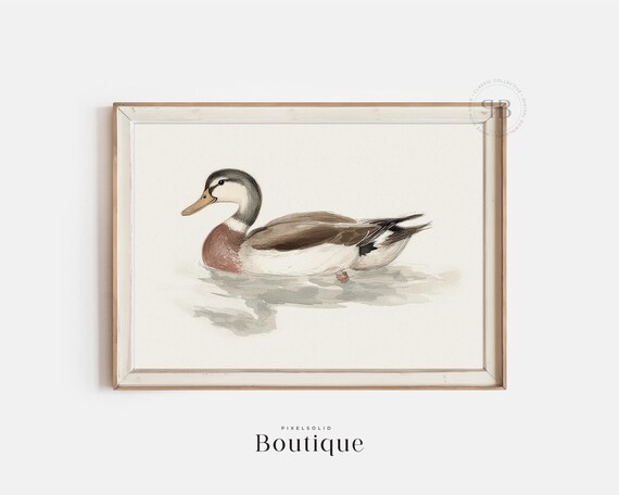 Mallard Duck Watercolor Print Wildlife Bird Wall Art Farmhouse Kitchen Decor Animal Illustration Vintage Style No682