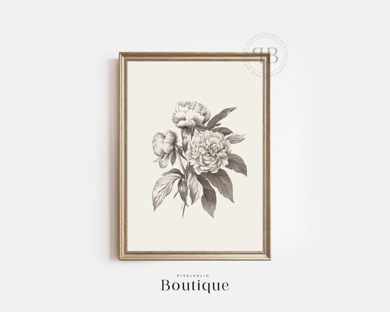 Peony Botanical Print Monochrome Floral Wall Art Minimalist Black And White Flower Illustration Vintage Style No613