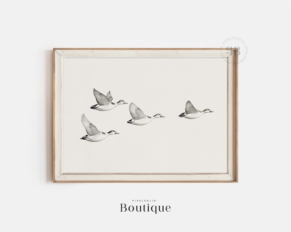 Four Flying Ducks Vintage Rustic Wildlife Illustration Art Poster