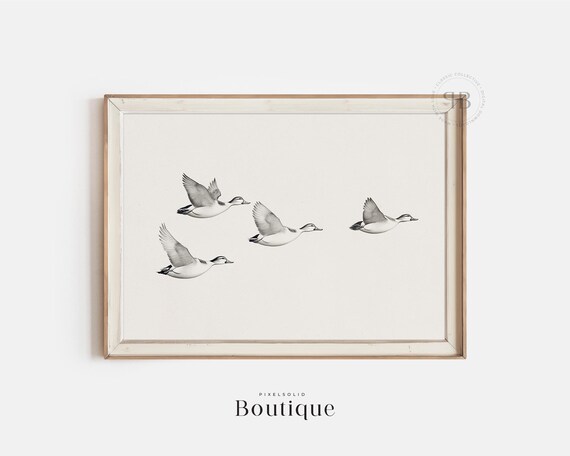 Elegant Duck Illustration Print Minimalist Flying Birds Art Rustic Vintagestyle Wildlife Decor Natureinspired Home No521