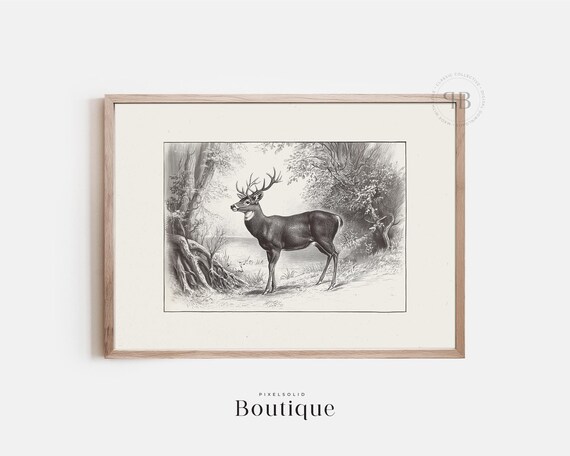 White Tail Deer Wall Art Rustic Animal Illustration Black And Vintage Style Country Lodge Dcor No609