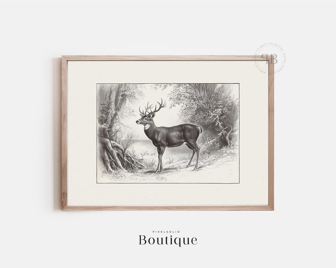 White Tail Deer Buck Vintage Engraving Rustic Decor Wall Art