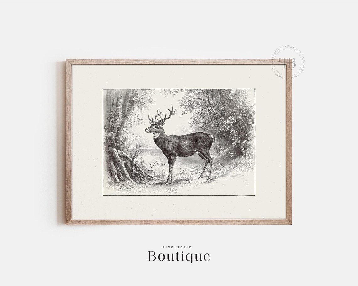White Tail Deer Wall Art Rustic Animal Illustration Black And Vintage Style Country Lodge Dcor No609