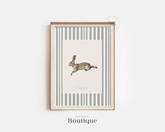 Hare Rabbit Vintage Style Illustration Antique Wildlife Print Natural Animal Wall Art Rustic Country Decor No694
