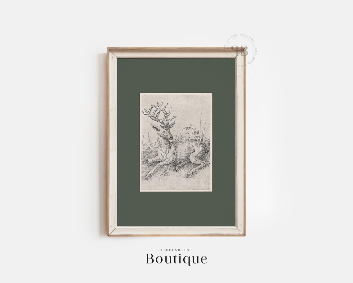 Stag Etching Rustic Deer Illustration Wall Art Antique Animal Line Drawing Lodge Decor Vintage Style No800
