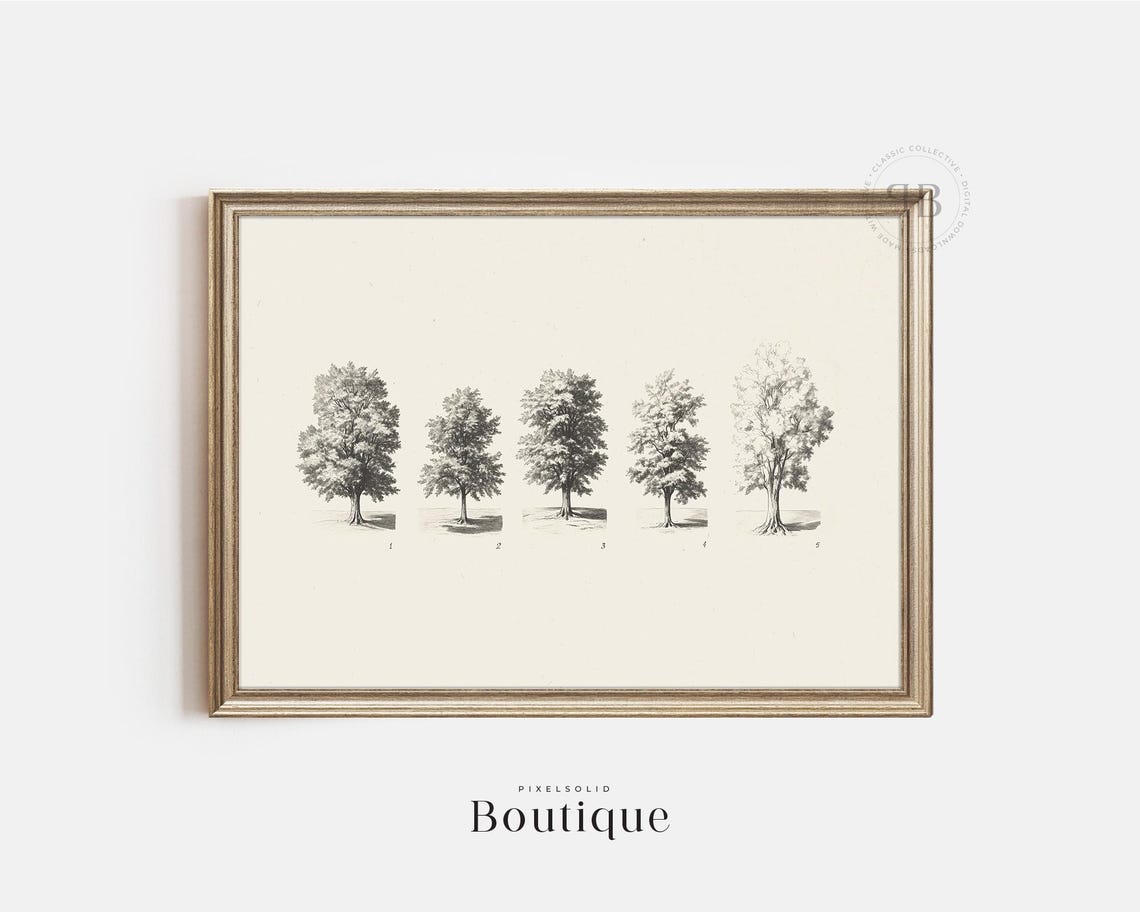 Set Of Five Vintage Monochrome Botanical Tree Study Sketches Print
