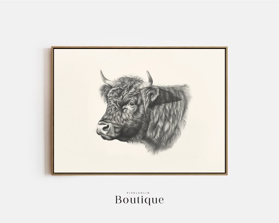 Highland Cow Sketch Neutral Animal Illustration Print Rustic Farmhouse Wall Decor Scottish Drawing Minimalist Cattle No387