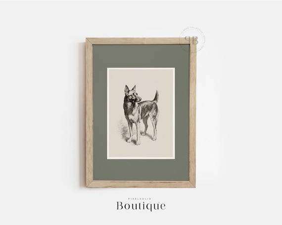 German Shepherd Dog Art Print Antique Portrait Pet Illustration Lover Gift Black White Wall No469