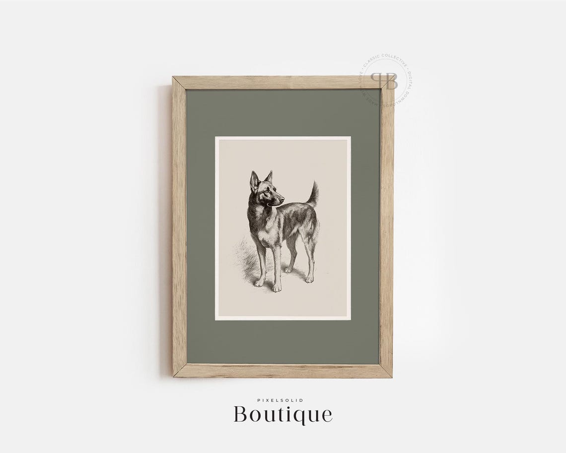German Shepherd Dog Antique Black And White Portrait Sketch Poster