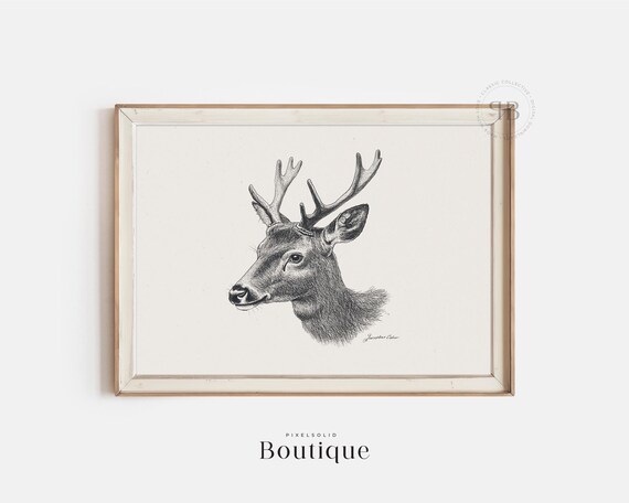 Rustic Deer Illustration Wall Art Wildlife Animal Decor Print In Vintage Style No624