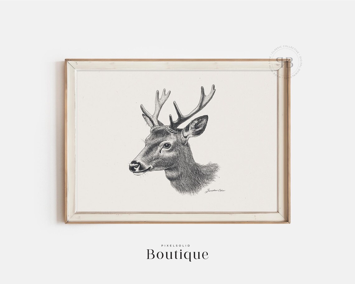 Rustic Deer Illustration Wall Art Wildlife Animal Decor Print In Vintage Style No624