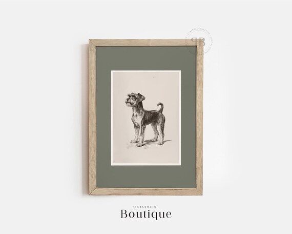Schnauzer Dog Art Print Decor Rustic Farmhouse Pet Portrait Lover Gift Black White Illustration No468