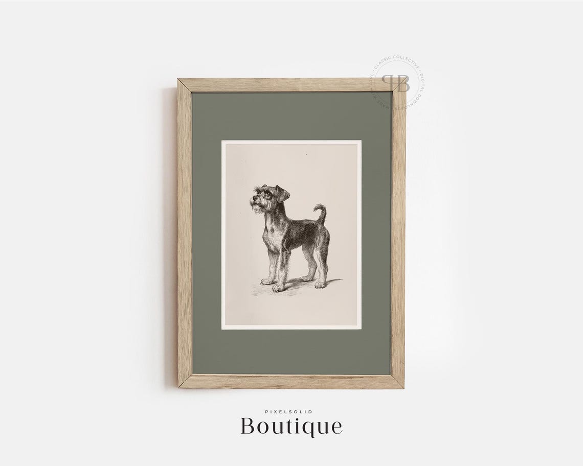 Schnauzer Dog Antique Black And White Portrait Sketch Pet Poster