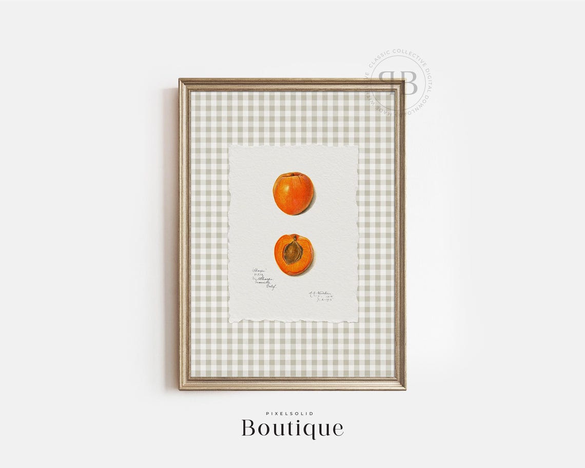 Apricot Botanical Print Kitchen Fruit Wall Art Rustic Farmhouse Illustration Country Pantry Decor Vintage Style No788