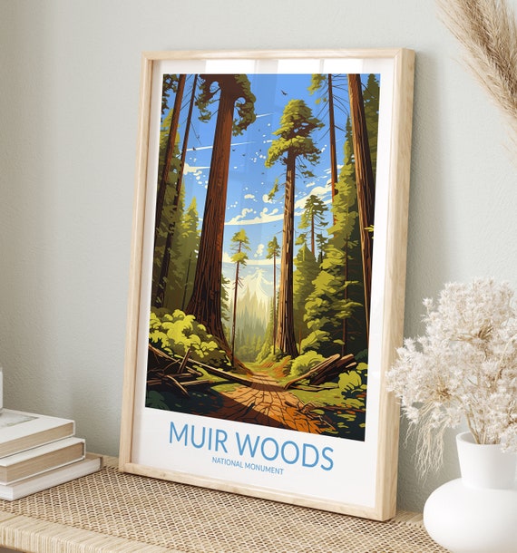 Muir Woods Print No 6 Muir Woods Poster Muir Woods Wall Art Muir Woods Art Print National Monument Muir Woods Travel Gift California