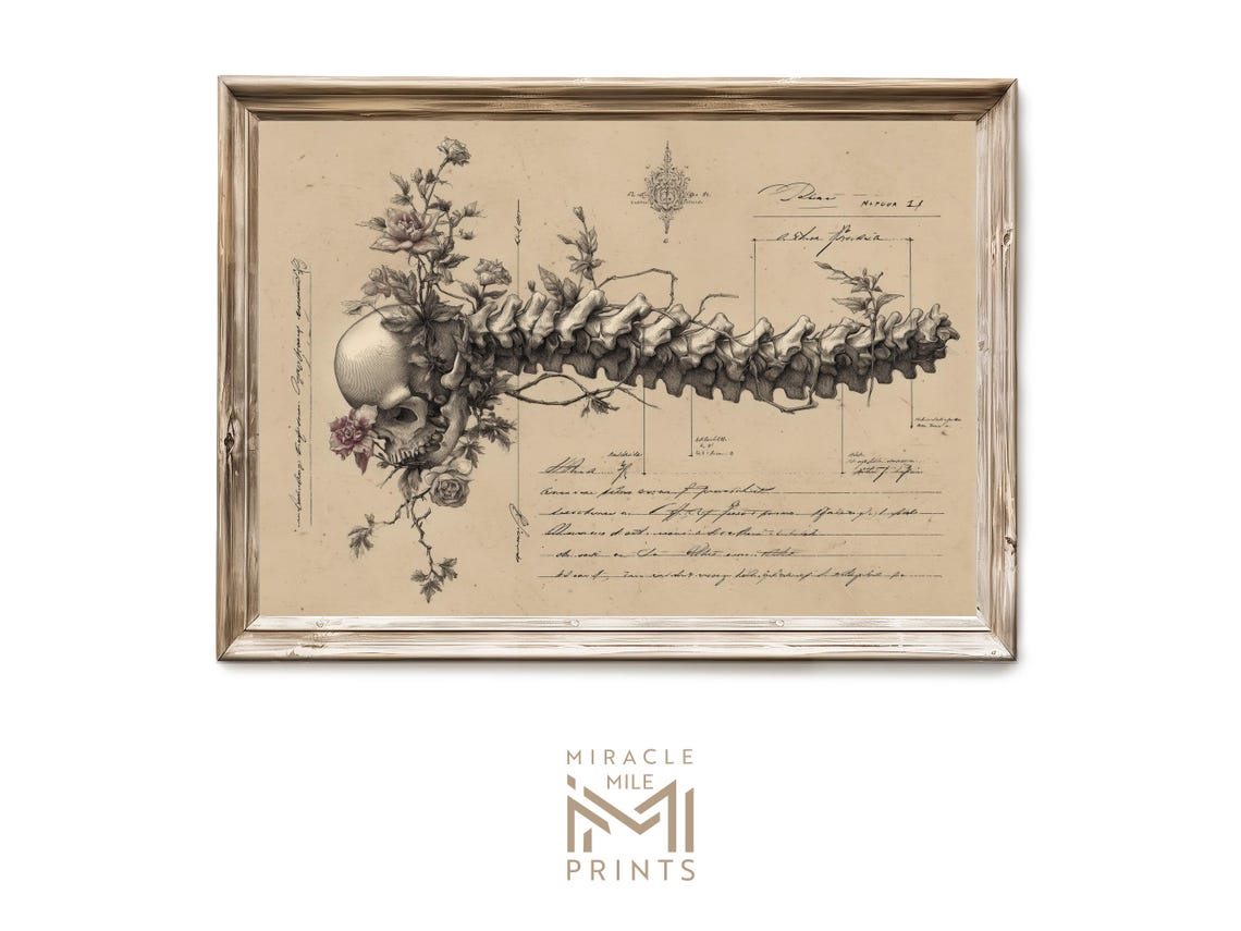 Vintage Anatomical Spine and Skull Botanical Gothic Art Poster