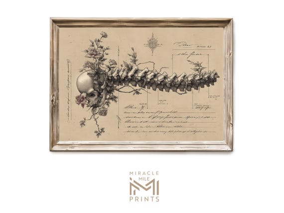 Halloween Anatomical Spine Sketch Art Vintage Gothic Anatomy Illustration Spooky Macabre Wall Decor Dark Academia Print 338