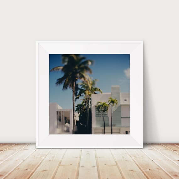 Miami Beach Art Deco White Buildings and Palm Trees Photo Print